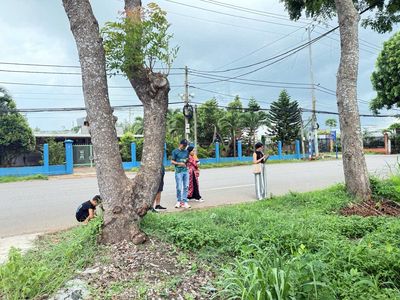 MT Quốc Lộ 56, Hòa Long, Thành Phố Bà Rịa- Vũng Tàu. DT 10743 — ảnh 1
