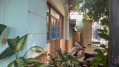 Cho thuê nhà vườn 229m² hẻm xe hơi P11 GV – 2PN 2WC, giếng trời — ảnh 1