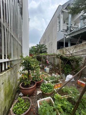 Bán đất Huỳnh Thị Hai, Quận 12 — ảnh 1