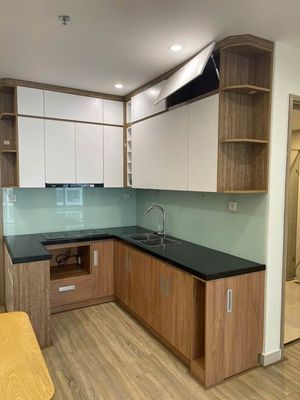 Cho thuê căn hộ 1N+ VinHomes Ocean Park giá 6tr5 — ảnh 1