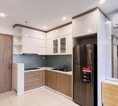 Cho thuê căn hộ 1N+ S2 Vinhomes Smart City 8tr full đồ — ảnh 1