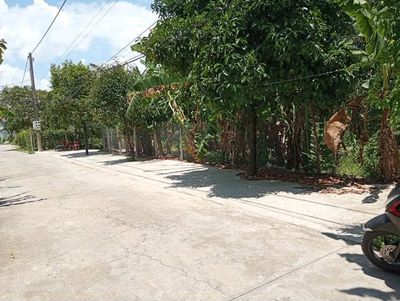 Bán đất Bình Nhâm 30, P. Lái Thiêu, TP. HCM — ảnh 1
