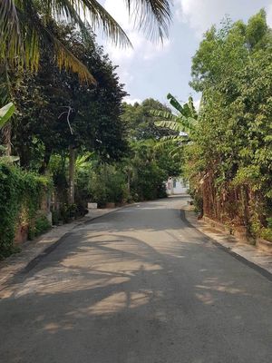Bán đất Tương Bình Hiệp, Thủ Dầu Một, 5.2x18.61m, 1.78 tỷ — ảnh 1