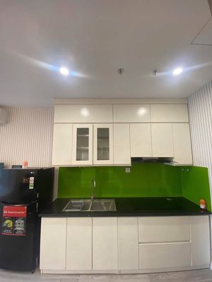 Cho thuê căn Studio full đồ Masteri Waterfront - Ocean Park — ảnh 1