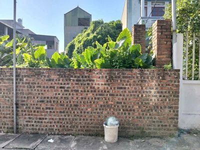 Bán đất Phù Lỗ 83m² full thổ cư, vị trí kinh doanh — ảnh 1