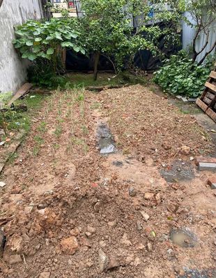 Bán đất Đại Đồng, Đại Mạch, Hà Nội — ảnh 1