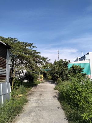 Bán 1 cặp nền thổ cư — ảnh 1