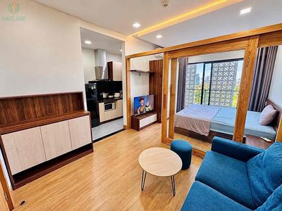 Cho thuê căn hộ gần minh mạng - crow - gần nam việt á — ảnh 1