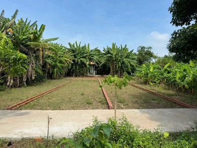 Ngộp 750tr/113m2 thổ cư MT Huỳnh Thị Luông Cần Giuộc cách DT835 500m — ảnh 1
