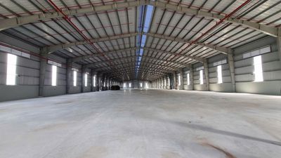 Cho thuê kho 5.500m² Quốc lộ 50, Cần Đước – Giá từ 70.000đ/m² — ảnh 1