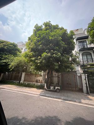 Bán biệt thự song lập Vinhomes Ocean Park Gia Lâm — ảnh 1