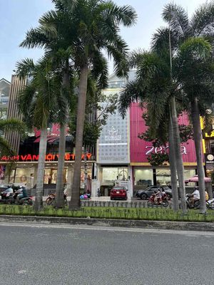 Cho thuê mặt bằng tầng trệt nhà số 79 nguyễn thị thập khu him lam Q7 — ảnh 1