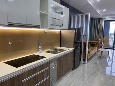 Chi thuê 2pn ngay trung tâm Thủ Dầu Một đầy đủ nội thất — ảnh 1