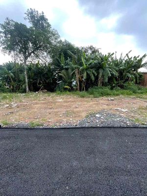 Bán đất phường bửu hoà 60m sr đường oto giá 1ty8 — ảnh 1