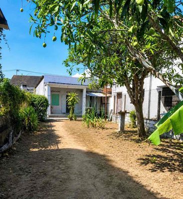 Chỉ 1 tỷ sở hữu ngay 245m2 đất, mặt tiền hơn 8m, ô tô vào tận nơi — ảnh 1
