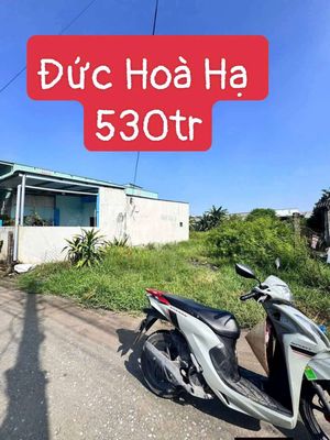 Rẻ nhất đức hoà hạ chợ chiều tân đức — ảnh 1