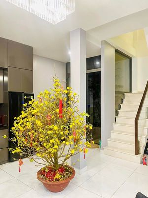 Bán villa nhà phố - nhà bè — ảnh 1