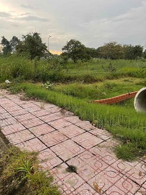 Nhà có việc nên bán — ảnh 1