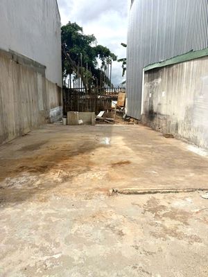 Đất TC Full 5,9*19,7m,hẻm Y ngông,Gần Hoàng Hoa Thám — ảnh 1