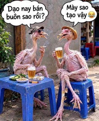 CG Đất thổ vườn Mặt tiền đường Bùi Công Trừng xã Nhị Bình --Đông Thạn — ảnh 1