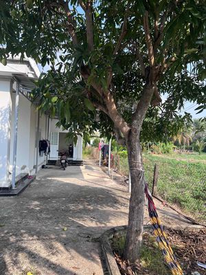 Ra đi em nhà Full Thổ — ảnh 1