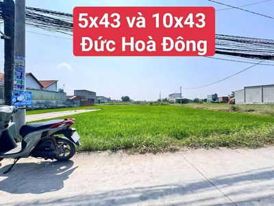 5x43 xây trọ đức hoà đông — ảnh 1