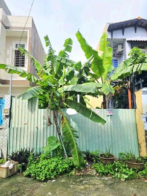 Chỉ 4 tỷ nhỉnh chốt ngay 82 m2 đất thổ cư tại Nguyễn Duy Trinh — ảnh 1