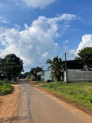 Bán đất mặt đường trương định — ảnh 1
