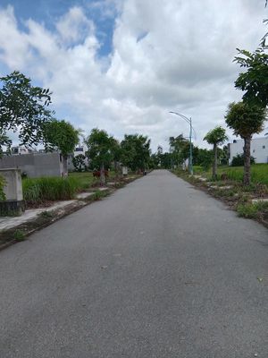 Bán đất nền dự án khu dân cư phú sinh - cát tường — ảnh 1