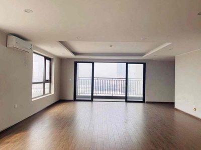 Chung cư 168 m 3 ngủ đồ cơ bản vào ở luôn — ảnh 1