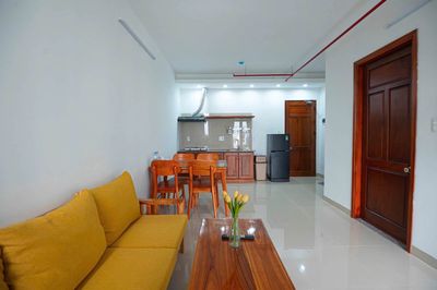 Cho thuê căn hộ 1PN Điện Biên Phủ, Đà Nẵng — ảnh 1