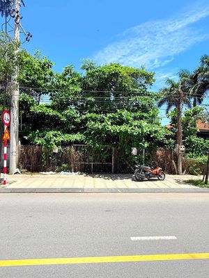 Bán đất MT Phố đi bộ Bạch Đằng, Thủ Dầu Một, Bình Dương — ảnh 1