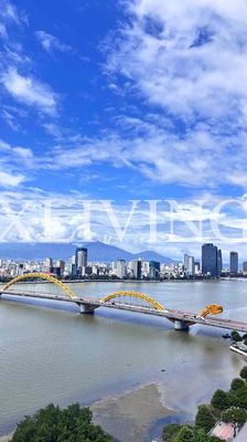 Cho thuê căn studio view sông Hàn tuyệt đẹp chung cư The Ponte — ảnh 1