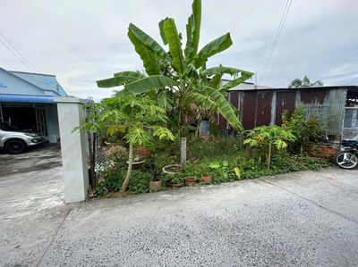 Bán đất 480m², ngang 7m, có 200m² thổ cư – gần QL80, Đồng Tháp — ảnh 1