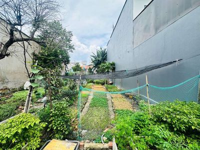 Đất trống 90m2 trần thị cờ thới an q12 - hẻm dân trí - 4.5x19m — ảnh 1
