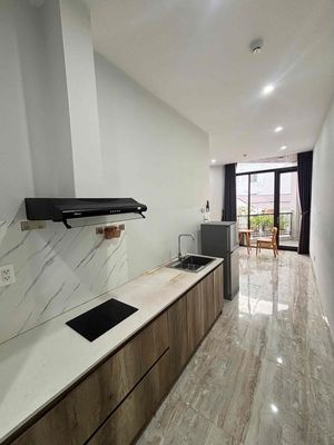 Căn hộ 1pn trung tâm hải châu — ảnh 1