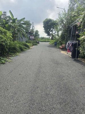 Khu dân cư thành thành công — ảnh 1