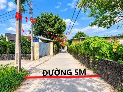 Bán nhanh trong tuần--Lô Góc 2 Mặt Tiền Khu CHỢ ĐẦU MỐI HÒA XUÂN — ảnh 1