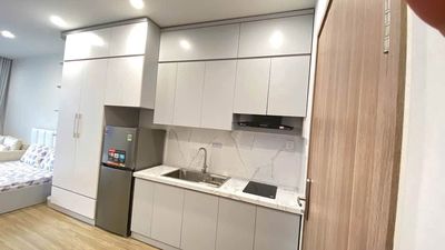 Cho thuê căn hộ Studio Pavilion P4, Ocean Park, full đồ — ảnh 1