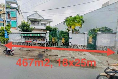 Bán đất mặt tiền Tân Kỳ Tân Quý, 467m2, ngang 18m, có nhà sẵn,full thổ — ảnh 1