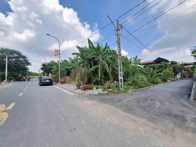 Bán đất Thư Lâm, Đông Anh, giá nhỉnh 2 tỷ — ảnh 1