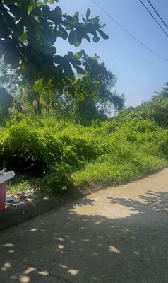 Lô đất hẻm 340 Long Phước dân cư đông đúc gần chợ long phước — ảnh 1