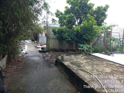 Bán đất Xuân Thới Sơn thổ cư giá rẻ thích hợp đầu tư — ảnh 1