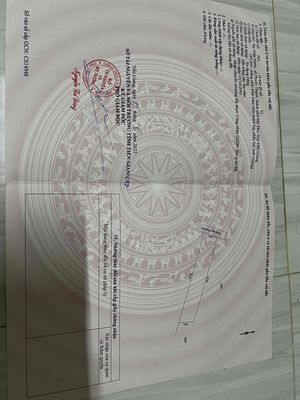 Bán đất hẻm trồng cây lâu năm — ảnh 1
