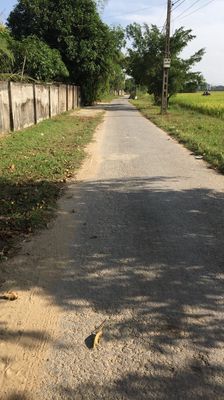 Thanh lý đất thổ cư toàn nền giá tốt — ảnh 1