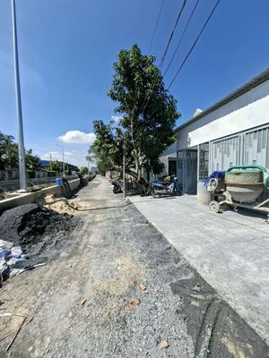 Cho thuê nhà tl 14 phường an phú đông giá 9 tr — ảnh 1