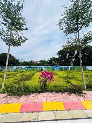Ngộp chưa từng có không đến 3ỷ sở hữu sổ đỏ hl vị trí siêu đẹp — ảnh 1
