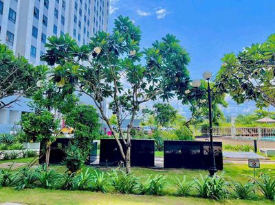 Chỉ 6 triệu có ngay căn 2pn2wc marina tower quá rẻ — ảnh 1