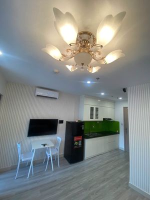 Cho thuê Studio - Vinhomes Ocean Park - Full nội thất — ảnh 1