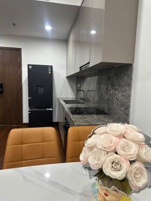 Cho thuê căn hộ 1N+ full đồ mới đẹp toà cao cấp M2 — ảnh 1